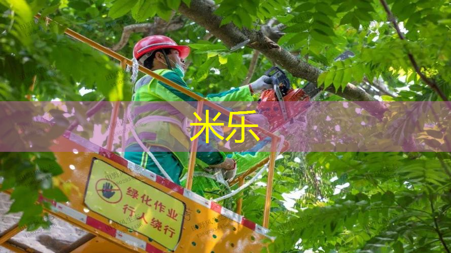 米乐m6官网登录入口：网球拍吸汗套怎么装的图解