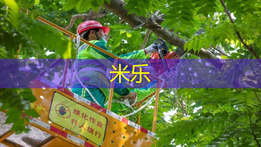 mile·米乐m6：海德停产网球拍怎么样了