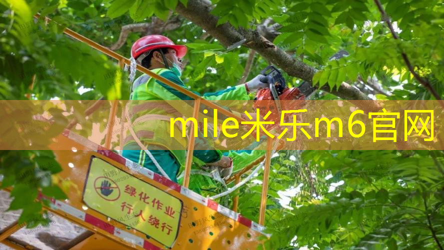 米乐：大力量网球拍怎么选择型号