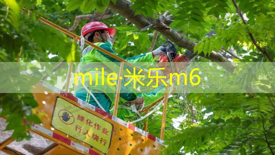 米乐m6官网登录入口：少儿模特网球拍节目介绍