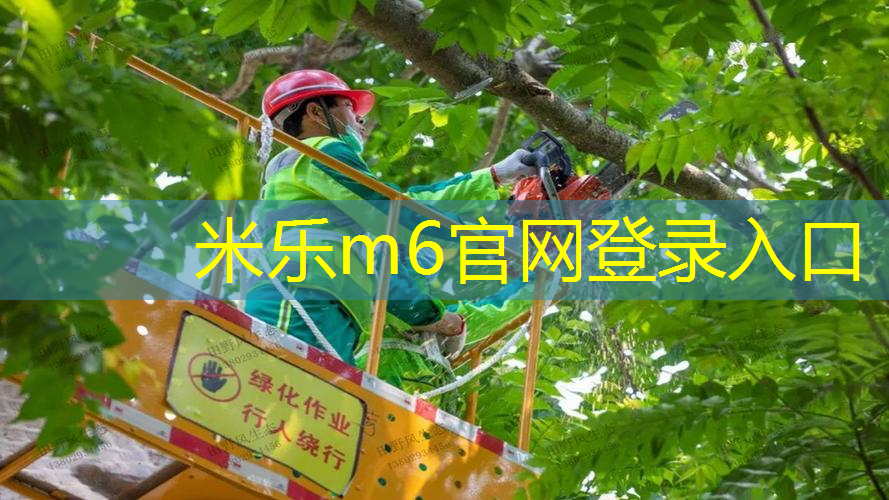 米乐m6官网：网球拍增大拍柄怎么用的