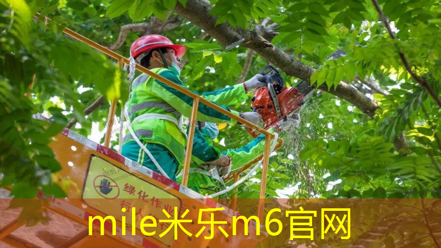 mile·米乐m6：室内健身碎步跑多少米最好