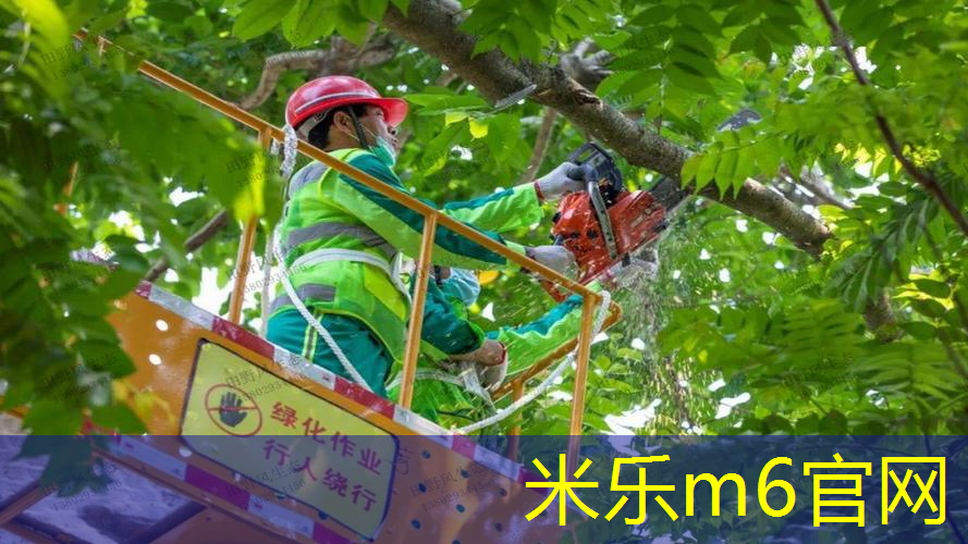 mile·米乐m6：乒乓球台上怎么放球