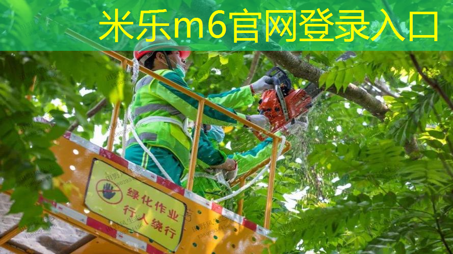 米乐m6官网登录入口：不可忽视的室外健身器材场地标准，赶快了解起来！