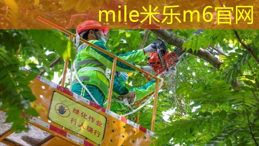 mile·米乐m6：室内健身0基础