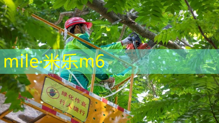 新网球拍太硬怎么变软点