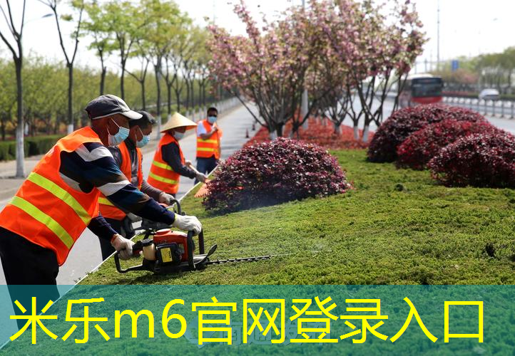 泰尼飞网球拍高清图