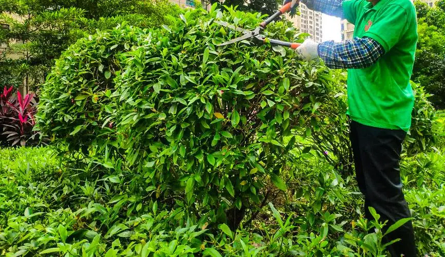 森林游戏网球拍怎么拿