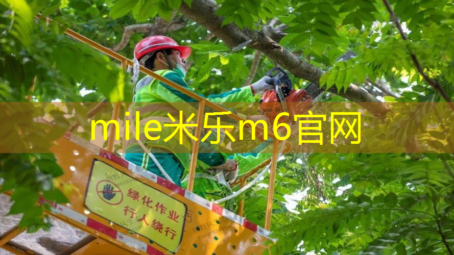 海德停产网球拍怎么样了