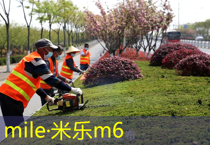 网球拍全碳素女士白色