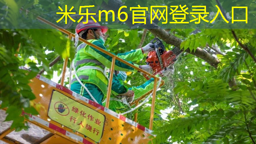 大力量网球拍怎么选择型号