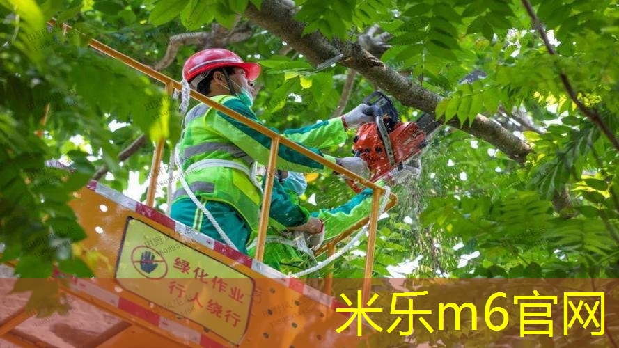 穆雷用什么网球拍好打