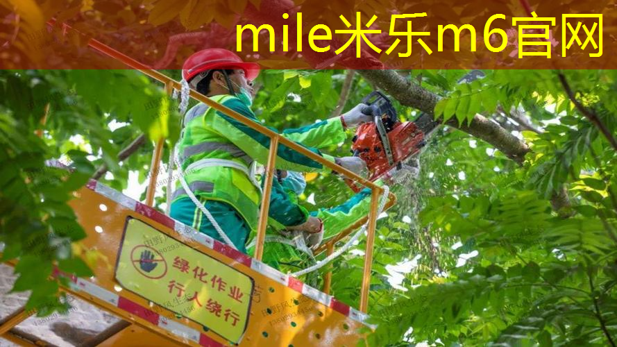 儿童用篮球投篮器材选择