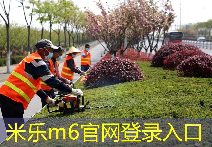 逻辑追踪！了解塑胶跑道材料组成的科学原理