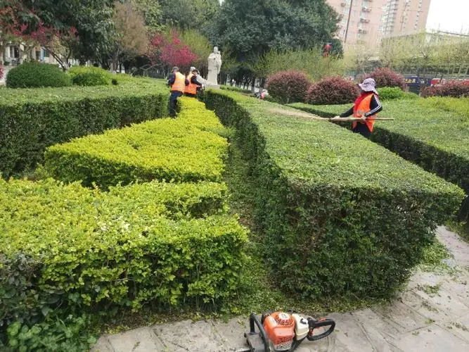 挑战心跳极限！玩转室外滑梯踏脚，尽享夏日乐趣