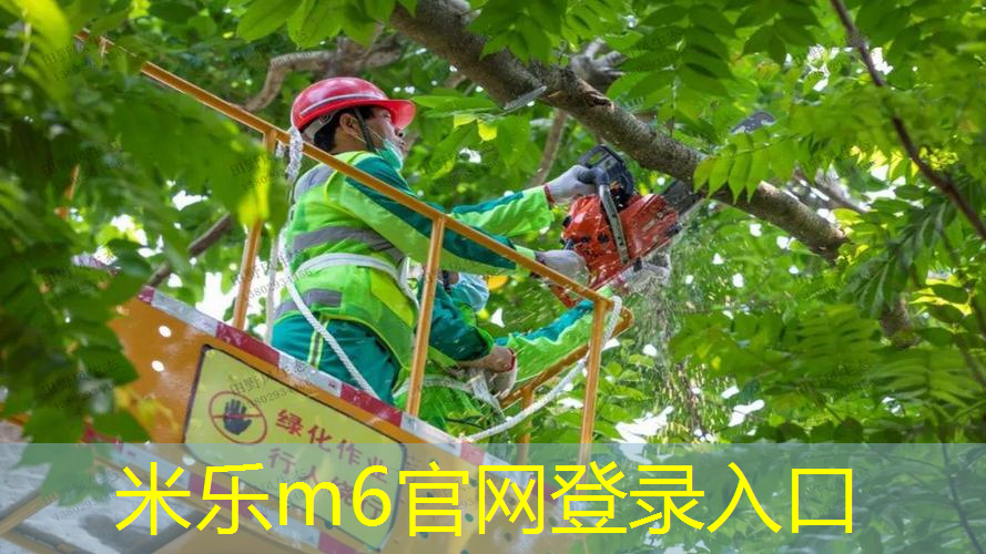 乒乓球台上怎么放球