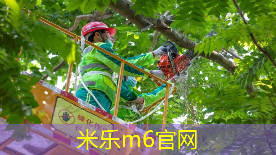 不可忽视的室外健身器材场地标准，赶快了解起来！